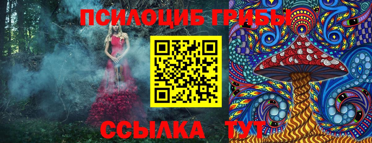 Ленинск-Кузнецкий  Псилоцибиновые грибы мицелий  Псилоцибиновые грибы прущие грибы  Вход с VPN 