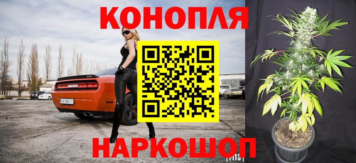 Бошки Шишки конопля Ленинск-Кузнецкий